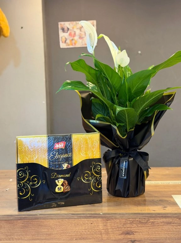 Barış Çiçeği & Adel Elegance Diamond Çikolata 290G