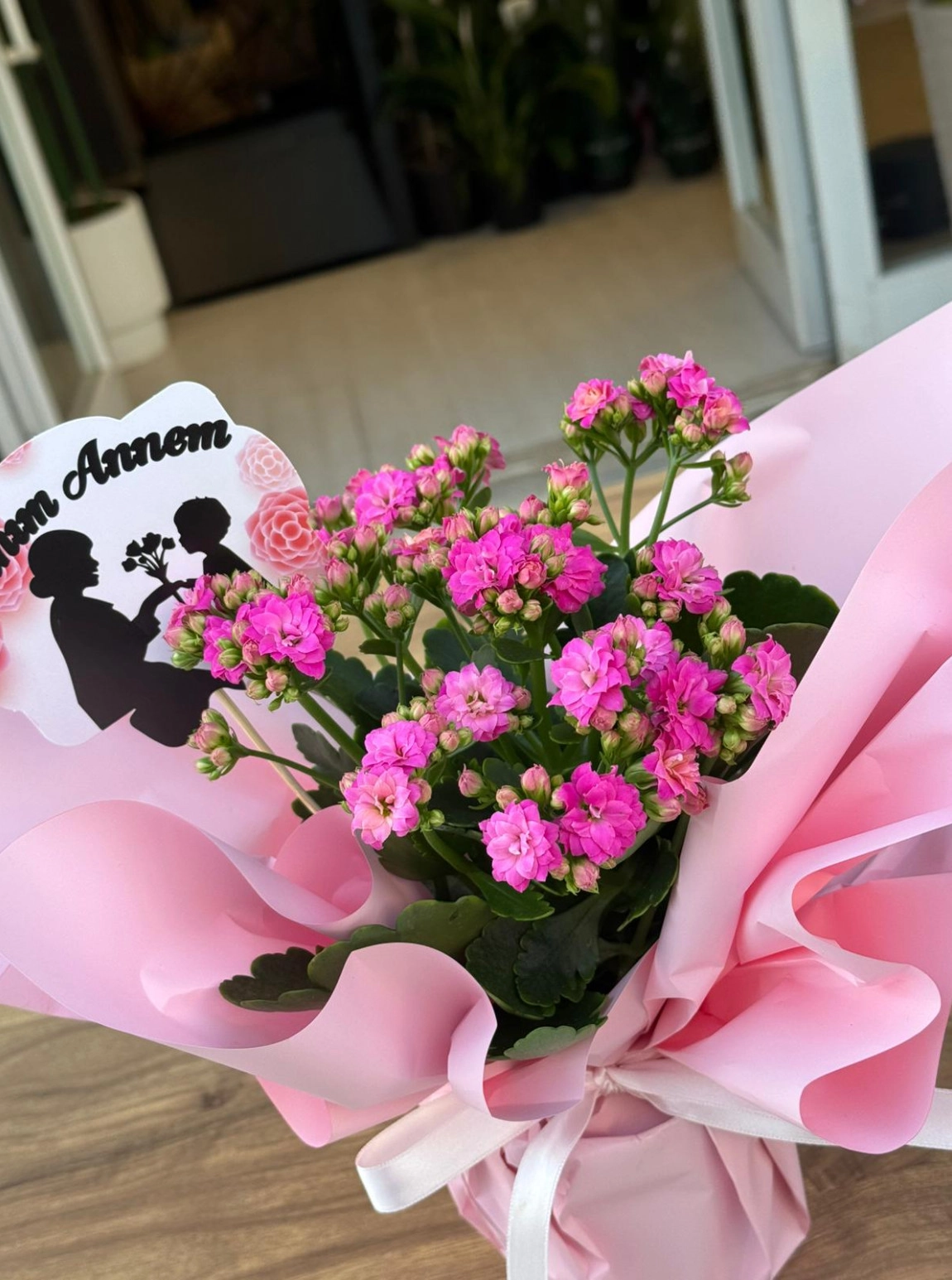 Canım Annem Kalanşo (Kalanchoe)
