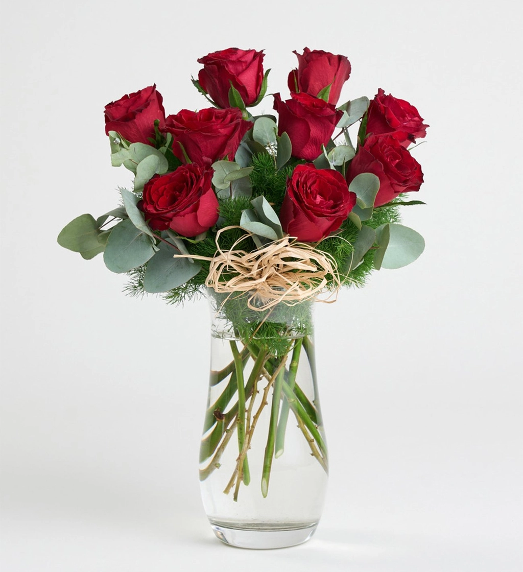 Vazoda 9 Kırmızı Gül